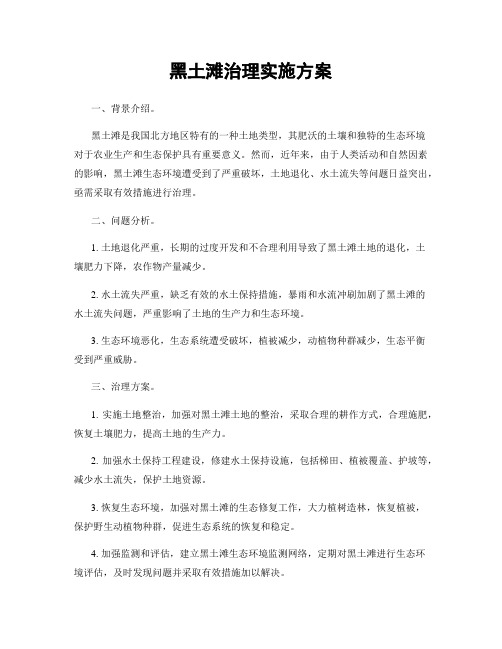 黑土滩治理实施方案