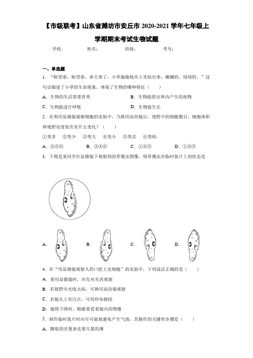 【市级联考】山东省潍坊市安丘市2020-2021学年七年级上学期期末考试生物试题