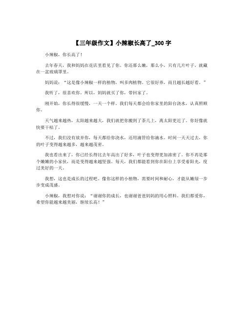 【三年级作文】小辣椒长高了_300字