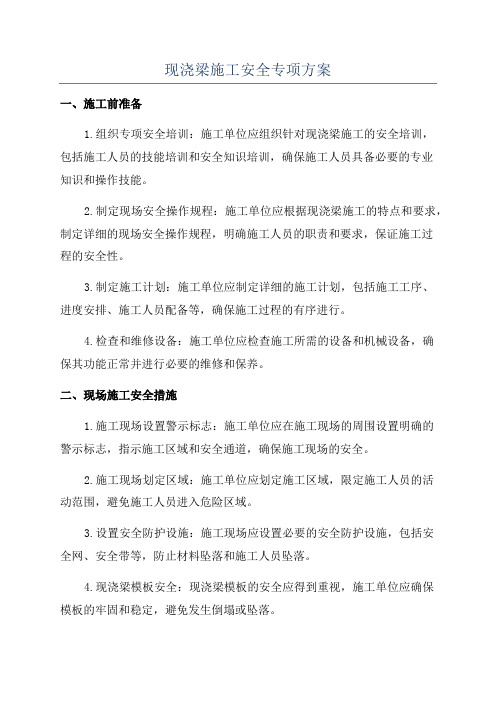 现浇梁施工安全专项方案