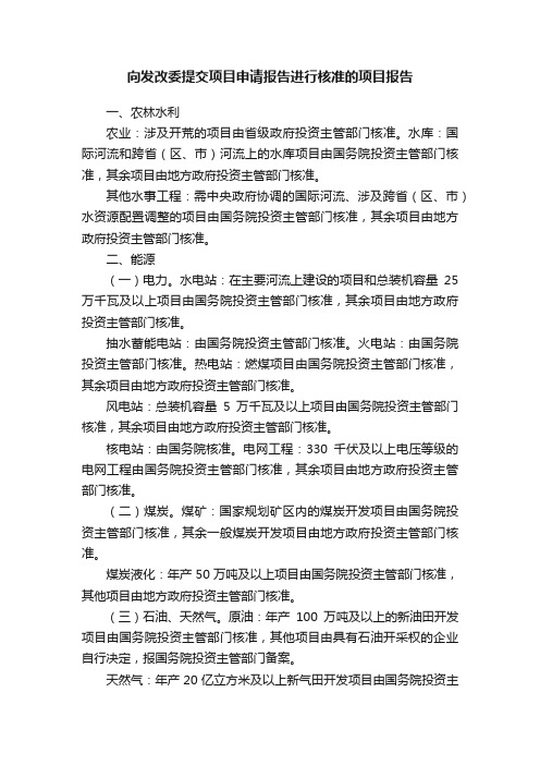 向发改委提交项目申请报告进行核准的项目报告