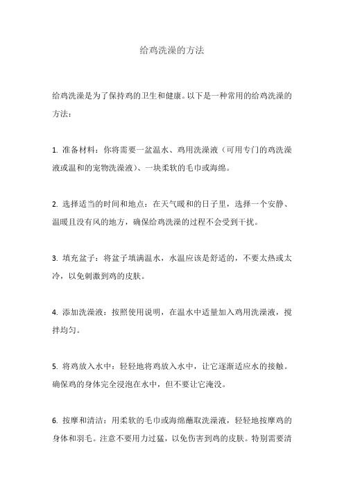 给鸡洗澡的方法