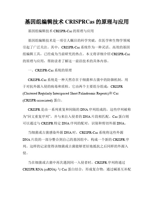 基因组编辑技术CRISPRCas的原理与应用