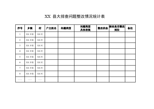 大排查问题整改情况统计表