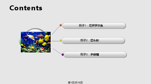 鱼类形态多样性PPT课件