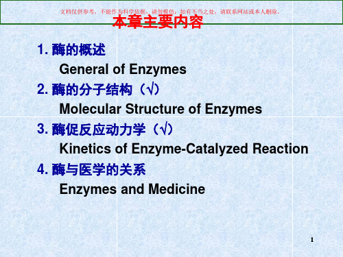 酶与生物催化剂培训课件