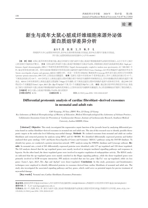 新生与成年大鼠心脏成纤维细胞来源外泌体蛋白质组学差异分析