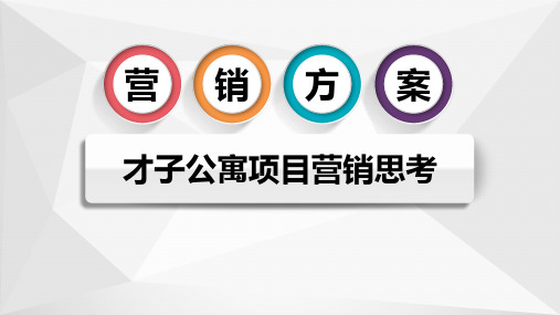 2018最经典的公寓产品营销方案