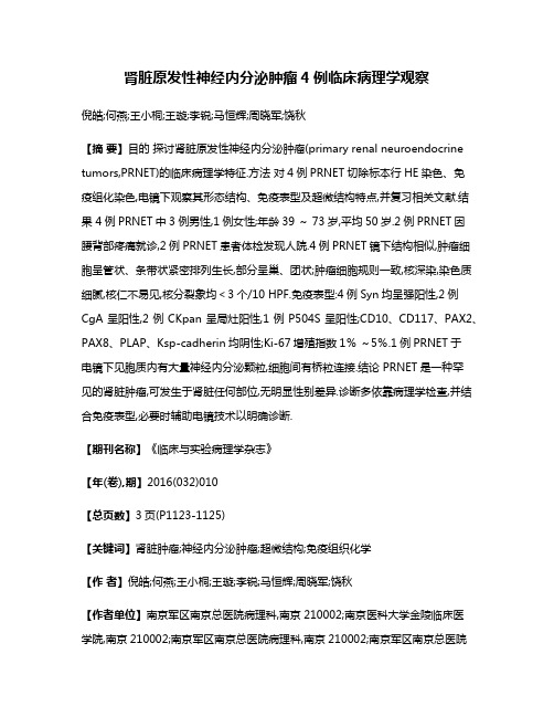 肾脏原发性神经内分泌肿瘤4例临床病理学观察