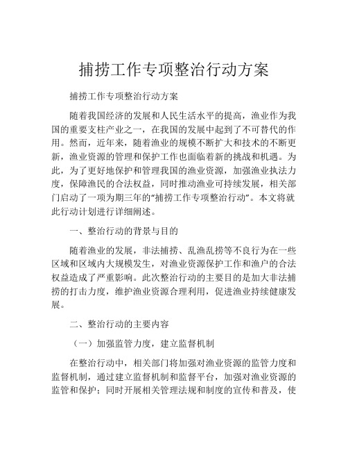 捕捞工作专项整治行动方案