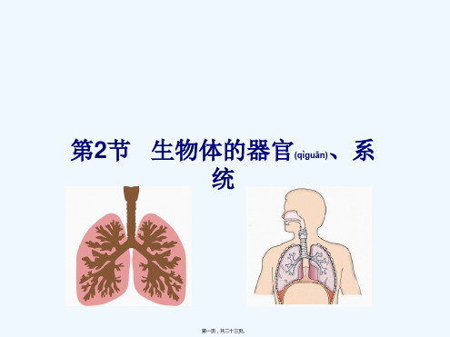 七年级生物上册第2单元第4章第2节生物体的器官、系统
