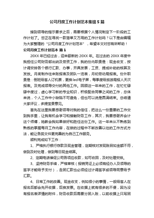 公司月度工作计划范本集锦5篇