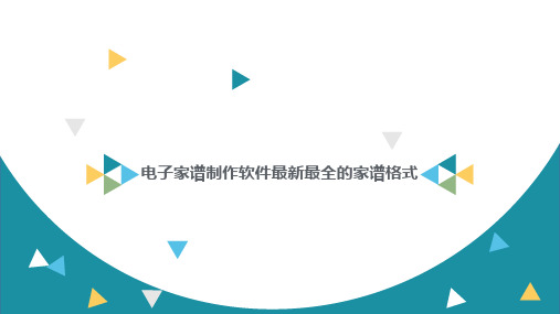 电子家谱制作软件最新最全的家谱格式