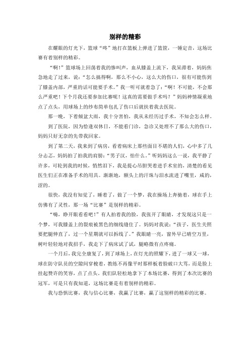 初中作文——话题《别样的精彩》 (24)