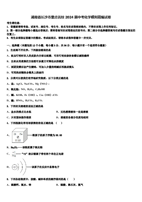 湖南省长沙市重点名校2024届中考化学模拟精编试卷含解析