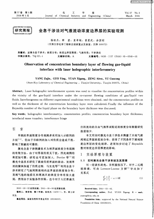 全息干涉法对气液流动浓度边界层的实验观测