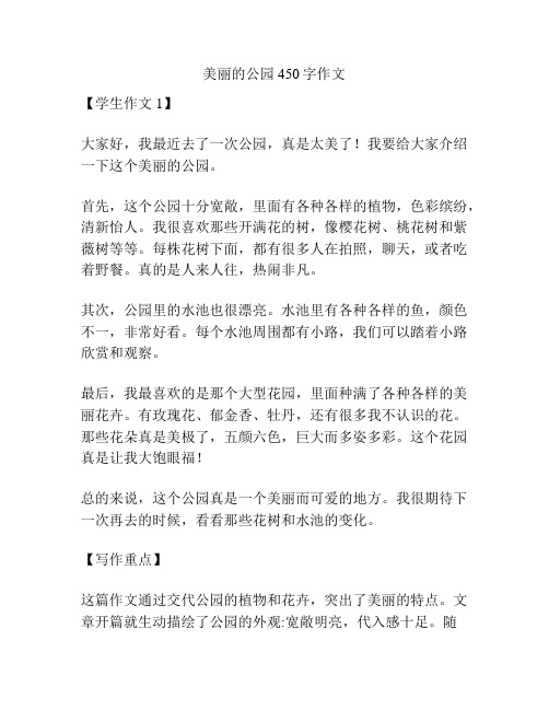 美丽的公园450字作文