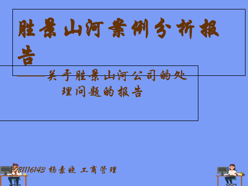 胜景山河案例分析报告.完美版PPT