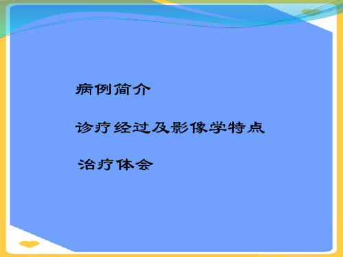 【正式版】重症肺炎病例分析大场医院PPT文档