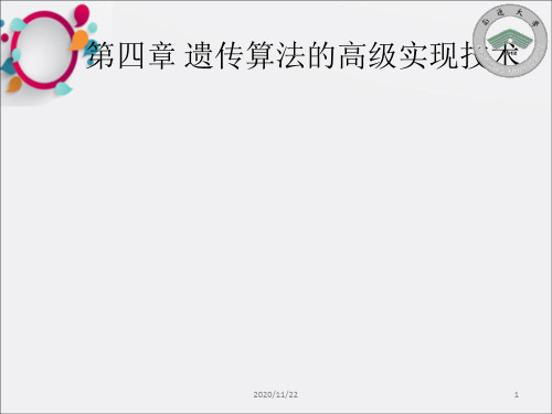 《优化算法讲》PPT课件 (2)