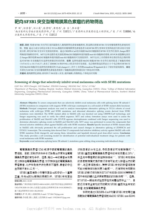 靶向SF3B1突变型葡萄膜黑色素瘤的药物筛选