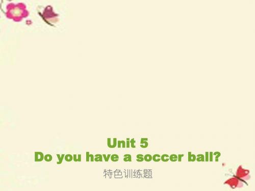 【学海风暴】2015-2016学年七年级英语上册 Unit 5 Do you have a soccer ball特色训练题课件