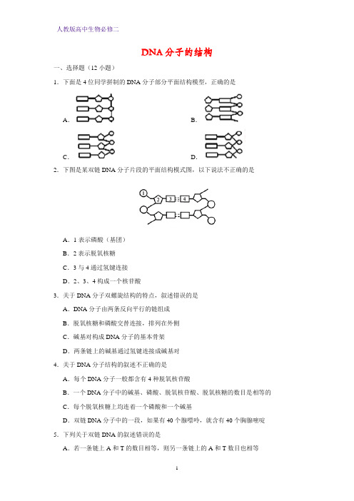 人教版(新教材)高中生物必修2练习19：3 2 DNA分子的结构课时作业