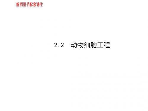 高中生物课件：选修3 专题2 2.2动物细胞工程