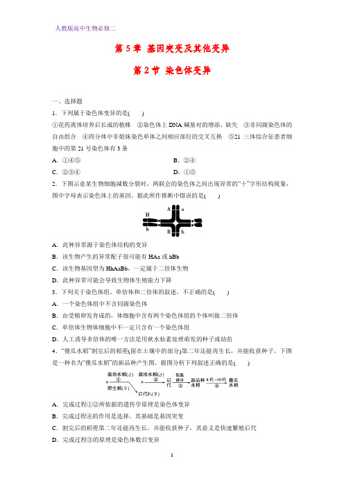 高中生物必修二课时作业13：5.2染色体变异