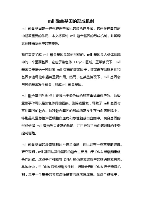 mll融合基因的形成机制