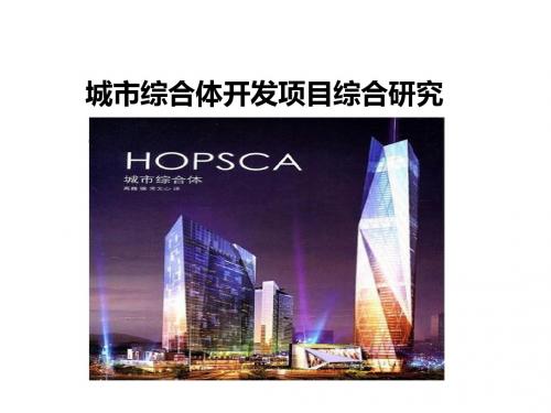 城市综合体开发项目综合研究