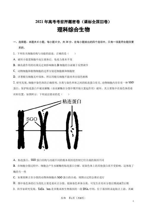 生物-2021年高考考前押题密卷(课标全国Ⅲ卷)(考试版)