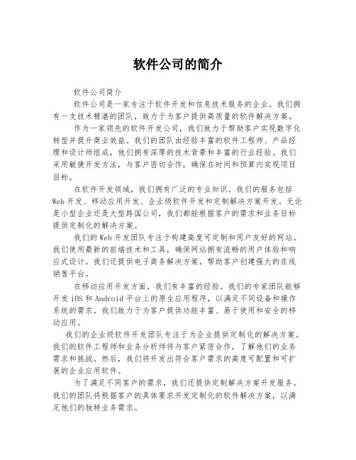 软件公司的简介