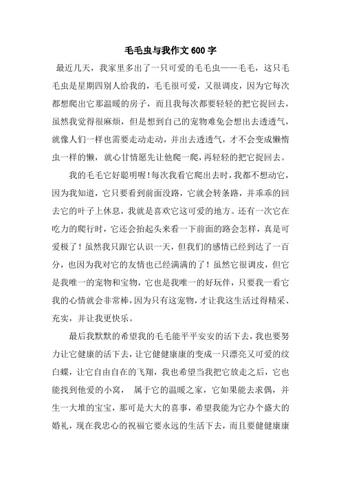 毛毛虫与我作文600字