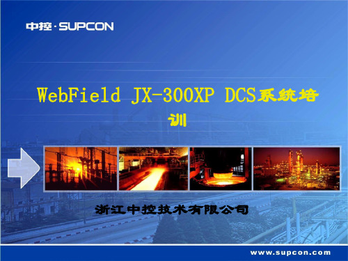 浙大中控DCS系统JX-300XP概述