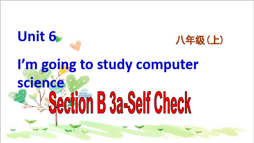 初中八年级英语上册 I’m going to study computer science Section B 3