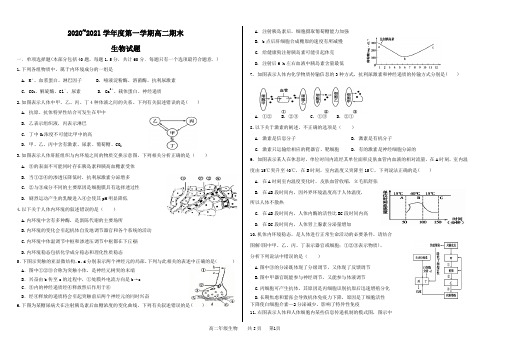 高二期末模拟试题(必修3全部)生物试题