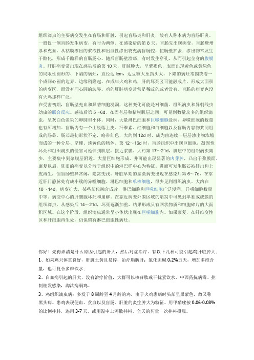 组织滴虫的主要病变发生在盲肠和肝脏