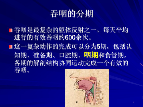 食道球囊扩张术经验分享医学PPT课件.ppt