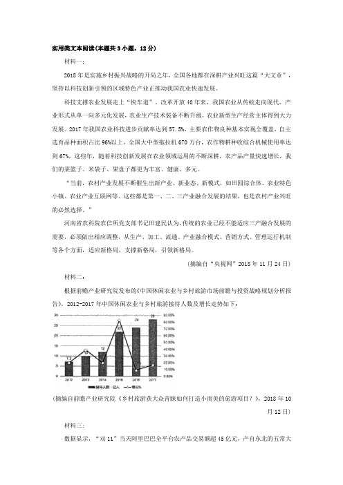 实用类文本阅读:实施乡村振兴战略