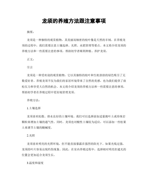 龙须的养殖方法跟注意事项