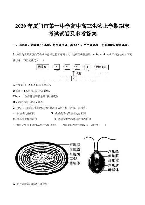 2020年厦门市第一中学高中高三生物上学期期末考试试卷及参考答案