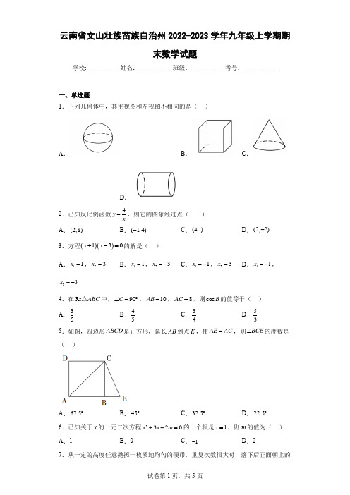 云南省文山壮族苗族自治州2022-2023学年九年级上学期期末数学试题(含详细答案)