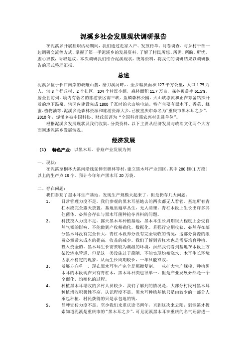 调研报告-泥溪乡社会发展现状调研报告