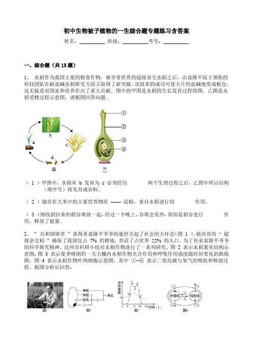 初中生物被子植物的一生综合题专题练习含答案