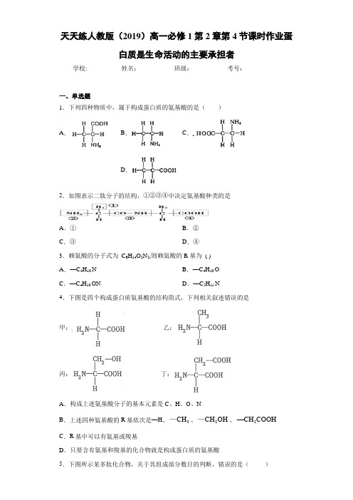 天天练人教版高一必修1第2章第4节课时作业蛋白质是生命活动的主要承担者