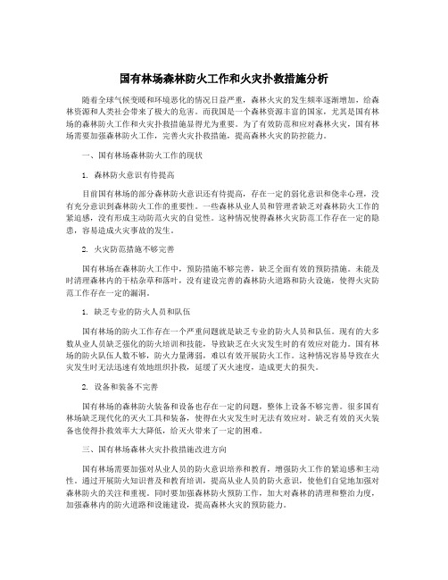 国有林场森林防火工作和火灾扑救措施分析