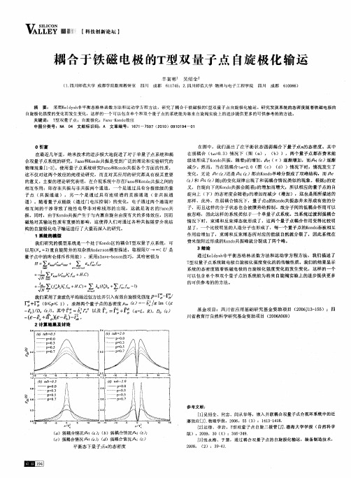 耦合于铁磁电极的T型双量子点自旋极化输运