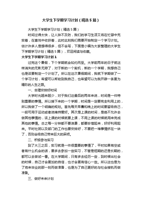 大学生下学期学习计划（精选5篇）