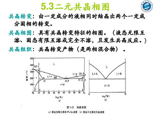 二元共晶相图